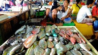 A Quick Tour around the Jimbaran Fish Markets  Bali Indonesia [upl. by Sternberg]