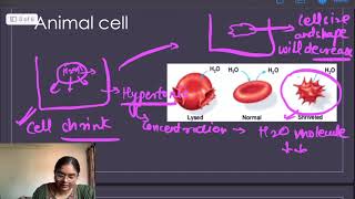 TonicityFundamental unit of lifePart 4Class 9th biology cbseboards2025 ncertscienceclass CTET [upl. by Suk]