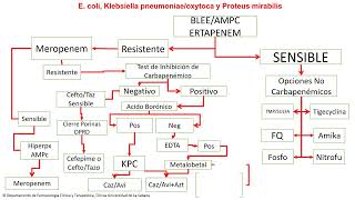 PROA Decisión Terapéutica en Bacterias Productoras de Carbapenemasas a partir del Antibiograma [upl. by Lanahtan]