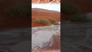 Floods in North of Ghardaia Algeria flood flooding shorts [upl. by Fretwell661]