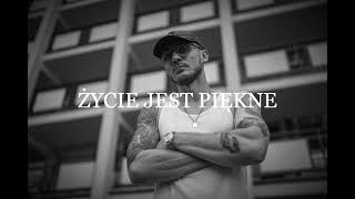 FREE PEZET x PALUCH TYPE BEAT  quotŻYCIE JEST PIĘKNEquot [upl. by Arteid]