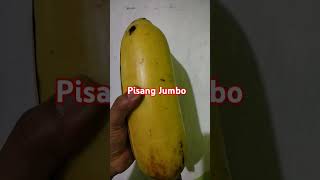 Pisang Jumbo [upl. by Jemma171]