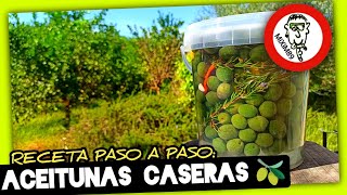 ACEITUNAS de MESA CASERAS Solo 11 Días Recolección Preparación y Aliñado by mixim89 [upl. by Alya]