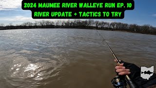 Maumee River Walleye Run 2024 Ep 10  River Update  Tactics To Try [upl. by Jessamine]