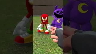 SHIN SONIC TAPES VS SMILING CRITTERS POPPY PLAYTIME SIZE COMPARISON in Garrys Mod [upl. by Buderus]