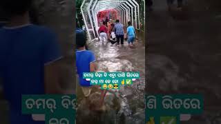 Tamar biha bi enta pani bhitre kar 😍🌿\ sambalpuri status video  sambalpuri song shortvideo dance [upl. by Kciwdahc935]