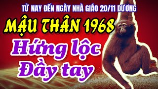 Đừng bỏ lỡ Vì tử vi Mậu Thân 1968 có cơ hội bội thu tài lộc từ nay đến ngày nhà giáo 2011 dương [upl. by Kirshbaum]