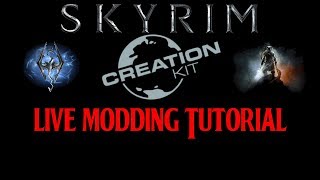 🔴 SKYRIM MODDING TUTORIAL Testing Racemenu Porting Capabilities  PCXBOX ONE MODS 2019 [upl. by Rambort]