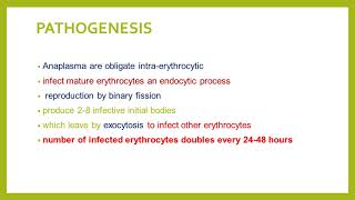 LECTURE ON ANAPLASMOSIS [upl. by Lydell158]