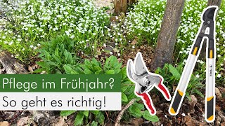 So pflegst du deinen Naturgarten im Frühjahr im Sinne der Tierwelt [upl. by Josselyn814]