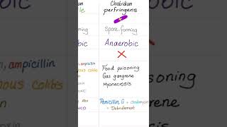 Clostridium perfringens Food poisoning Gas gangrene Muscle Necrosis MyonecrosisMicrobiology🧫 [upl. by Auqinot]