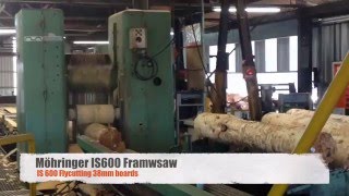 Möhringer IS600 Framesaw [upl. by Uhsoj]