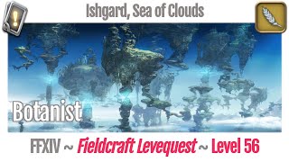 FFXIV Botanist Leves Level 56  Ishgard Sea of Clouds  Heavensward [upl. by Ricarda]