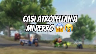 ASÍ ES COMO ATROPELLARON A MI PERRO EN FREEFIRE 😭 freefire [upl. by Ahsian988]