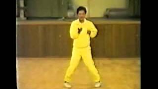 Wing Chun  Wong Shun Leung  1ère forme Siu Nim Tau [upl. by Evelunn]