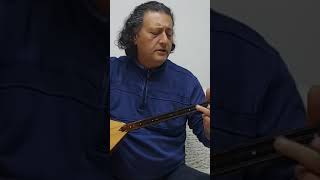 Gelmedin yar gelmedin türkü bağlama [upl. by Goer]