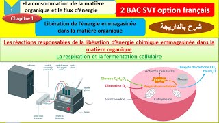 la libération dénergie emmagasinée dans la matière organique partie 1 2 bac svt شرح بالداريجة [upl. by Bourque]