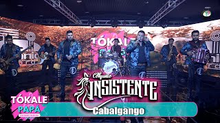 Conjunto Insistente  Cabalgando Video Oficial [upl. by Auos771]