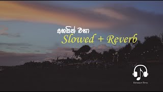 Ahasin Eha  Slowed  Reverb අහසින් එහා   Echoes in TIme [upl. by Lertnek]