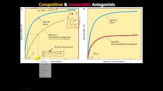 pharm4  ReceptorEffector and Spare Receptors Competitive Irreversible amp chemical Antagonists [upl. by Whitnell]