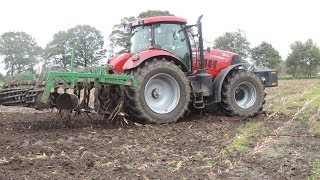 Maisstoppel einarbeiten mit CASE IH Power [upl. by Arreyt]