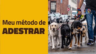 O meu método de ADESTRAR CACHORROS [upl. by Falzetta]