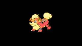 Pokémon  Growlithe Cry [upl. by Prebo638]