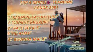 New Nepali Treanding songs collection 20812082 Number 1dancing songs [upl. by Yoong]