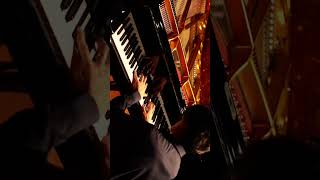 Chopin Nocturne in C minor Op 48 1 [upl. by Charlet]