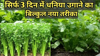 सिर्फ 3 दिन में धनिया उगाने का बिल्कुल नया तरीका 3 din me dhaniya kaise ugaye Coriander in 3 days [upl. by Yhtorod872]