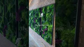 Preserved Moss Wall Art by Moss Art Installations 🪴 interiordesign [upl. by Kcirddot]