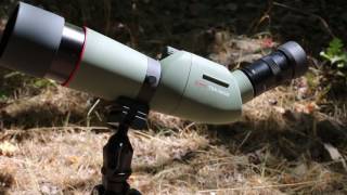 kowa 663 spotting scope review [upl. by Octavla]