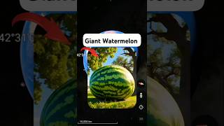 I Found Giant Watermelon In Real Life On Google Earth And Google Maps 😰 shorts googleearth [upl. by Llenyar]