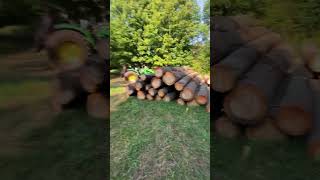 Two day total white pine logs more to come logger pine 500i [upl. by Camel]