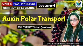 TRANSPORT OF AUXIN  PHYTOHORMONE PART4CSIR NET PLANT BIOLOGY [upl. by Belinda79]