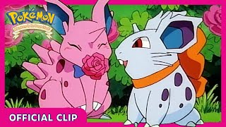 Nidoran in love  Pokémon Adventures in the Orange Islands  Official Clip [upl. by Ludwog]