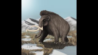 Reconstruction of a woolly mammoth Mammuthus primigenius  Paleoart process [upl. by Patnode]