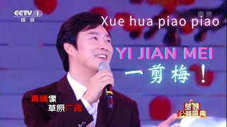 xue hua piao piao bei feng xiao xiao live The voice of China YI JIAN MEI [upl. by Hcnarb]