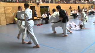 Shito Ryu Shukokai Karate Deutschland [upl. by Maleki808]