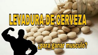 LEVADURA DE CERVEZA  7 beneficios para el organismo [upl. by Derfnam]