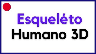 Sistema Esquelético del Cuerpo Humano 3D [upl. by Woody]