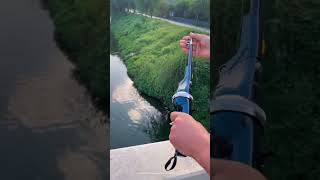 Portable Telescopic Folding Mini Fishing Rod [upl. by Ennovihs]