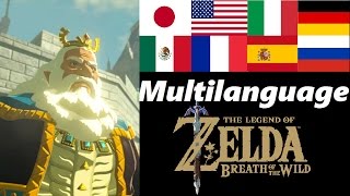 Father and Daughter Multilanguage  Memory 12  Zelda Breath of the Wild [upl. by Simonette]