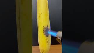 Powerful Lighter vs Banana [upl. by Psyche]