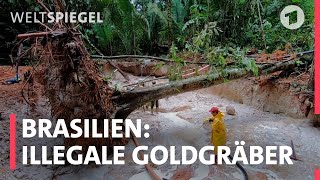 Unter Goldgräbern – Drei Tage im illegalen Camp [upl. by Sukul515]