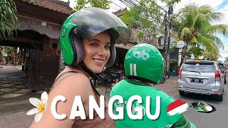 THE ULTIMATE GUIDE TO CANGGU BALI  Where To Stay What To Do  What The Hype Is All About [upl. by Einnaffit255]