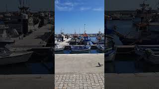 Discover the Magic of Boats Moored in Setúbal shorts [upl. by Jasun158]