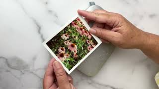 Reviewing and testing the HP Sprocket 3x4 Size review photography crafting [upl. by Ielirol]