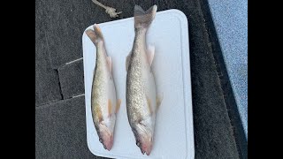 Brookville Spring Walleye Fishing [upl. by Nenerb]