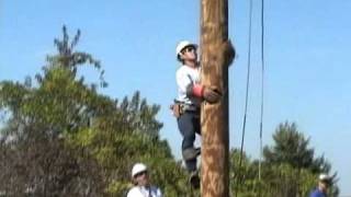 2010 International Rodeo 46 sec Hurtman Rescue [upl. by Dewain345]